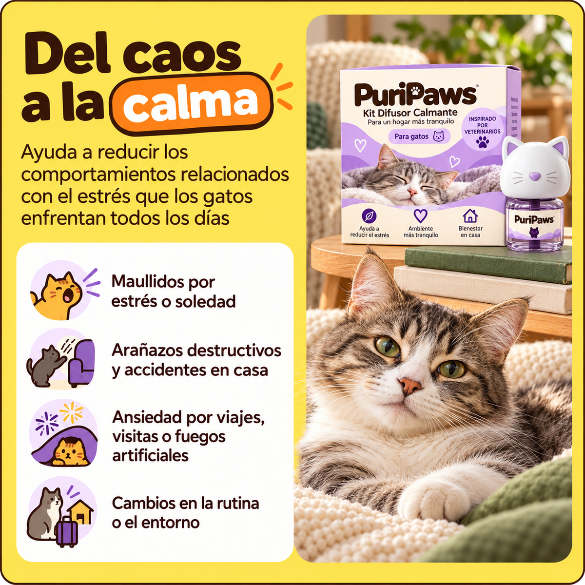 Kit Difusor Calmante para Gatos