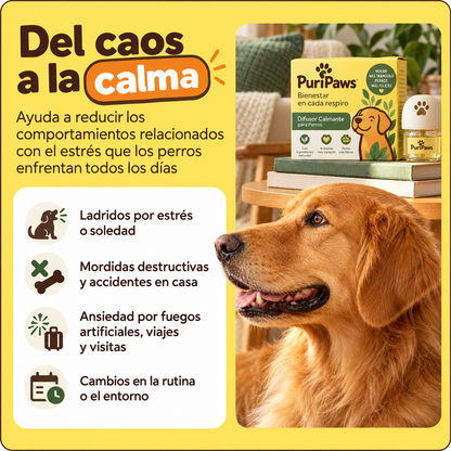 Kit Difusor Calmante para Mascotas
